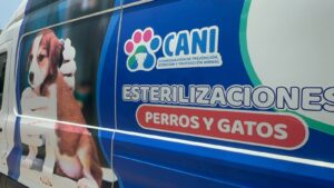 Lorena Alfaro respalda al CANI y denuncia amenazas contra personal de atención animal Lorena Alfaro respalda al CANI y denuncia amenazas contra personal de atención animal