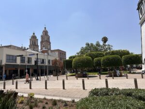 Regidor del PAN acusa tintes políticos en marcha convocada para el 15 de julio Regidor del PAN acusa tintes políticos en marcha convocada para el 15 de julio