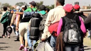 Migrantes en California recuperan tranquilidad, pero enfrentan recorte de jornadas laborales: AFAMI Migrantes en California recuperan tranquilidad, pero enfrentan recorte de jornadas laborales: AFAMI