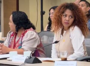 “Qué hueva”: diputada de Morena desata polémica tras pronunciamiento sobre violencia contra las mujeres “Qué hueva”: diputada de Morena desata polémica tras pronunciamiento sobre violencia contra las mujeres