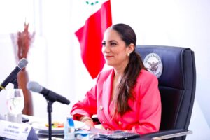 Libia Dennise pedirá reforzar la atención a la salud mental en corporaciones policiales tras caso de León Libia Dennise pedirá reforzar la atención a la salud mental en corporaciones policiales tras caso de León