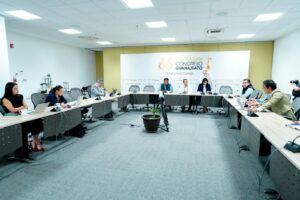 PAN plantea reforzar por ley la atención a la salud mental de policías en Guanajuato PAN plantea reforzar por ley la atención a la salud mental de policías en Guanajuato