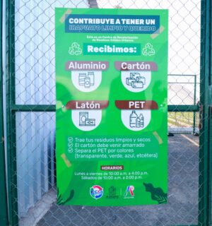 Gobierno de Irapuato impulsa el reciclaje con incentivos y programas ambientales Gobierno de Irapuato impulsa el reciclaje con incentivos y programas ambientales