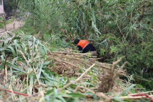 Protección Civil refuerza limpieza de cuerpos de agua ante lluvias en Irapuato Protección Civil refuerza limpieza de cuerpos de agua ante lluvias en Irapuato