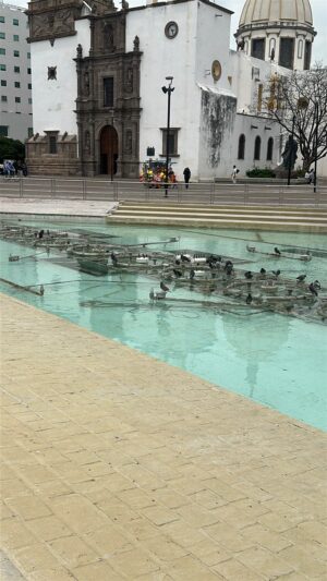 Buscan alternativa para recuperar las fuentes danzarinas de Irapuato Buscan alternativa para recuperar las fuentes danzarinas de Irapuato