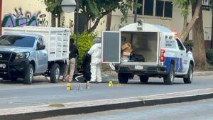 Hallan restos humanos en la Calzada Insurgentes de Irapuato Hallan restos humanos en la Calzada Insurgentes de Irapuato