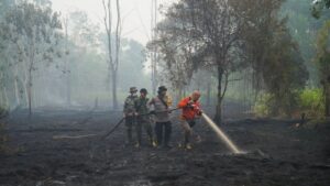 Proyectan hasta 451 mil muertes adicionales en el mundo por el calor asociado al «Niño» Proyectan hasta 451 mil muertes adicionales en el mundo por el calor asociado al «Niño»