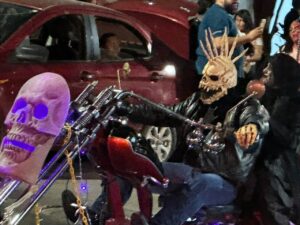 Organizadores reportan saldo blanco tras desfile de Monstruos y Botargas en Irapuato Organizadores reportan saldo blanco tras desfile de Monstruos y Botargas en Irapuato