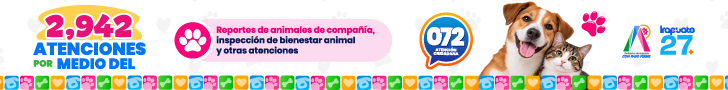 Banner publicitario