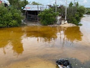 El paso del Huracán «Isaías» y de la tormenta «Simón» dejarán intensas lluvias en varios estados El paso del Huracán «Isaías» y de la tormenta «Simón» dejarán intensas lluvias en varios estados